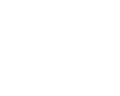 NITISI